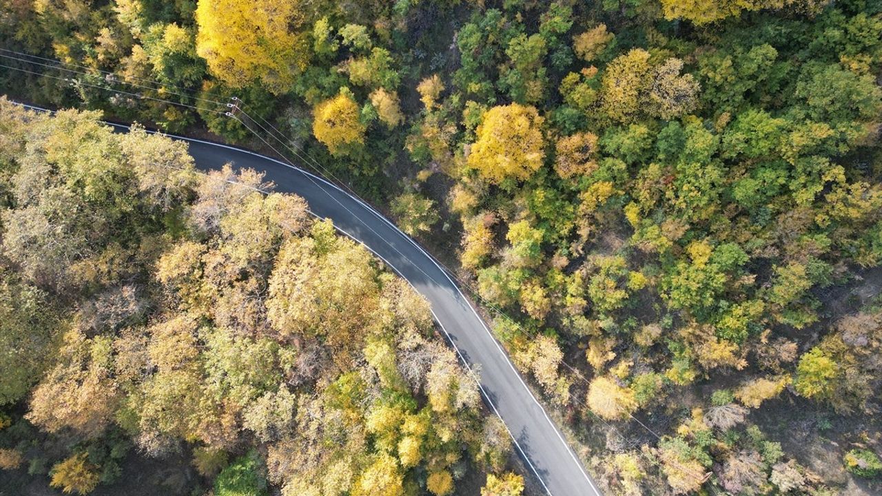 Ganos Dağı'ndaki Ormanlar Sonbahar Renkleriyle Göz Kamaştırıyor