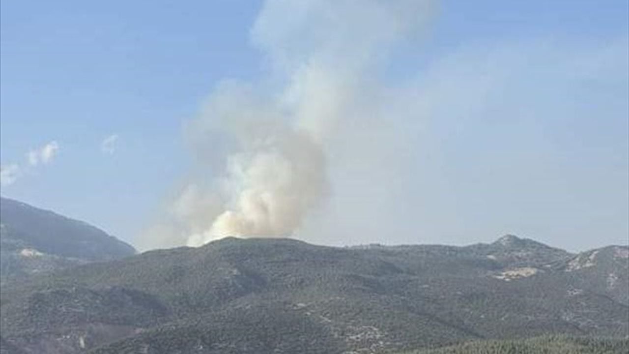 Gaziantep'te Orman Yangını Kontrol Altına Alındı