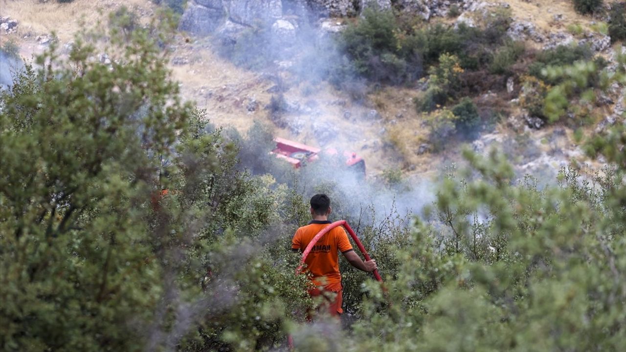 Gaziantep'te Ormanlık Alanda Yangın Çıktı