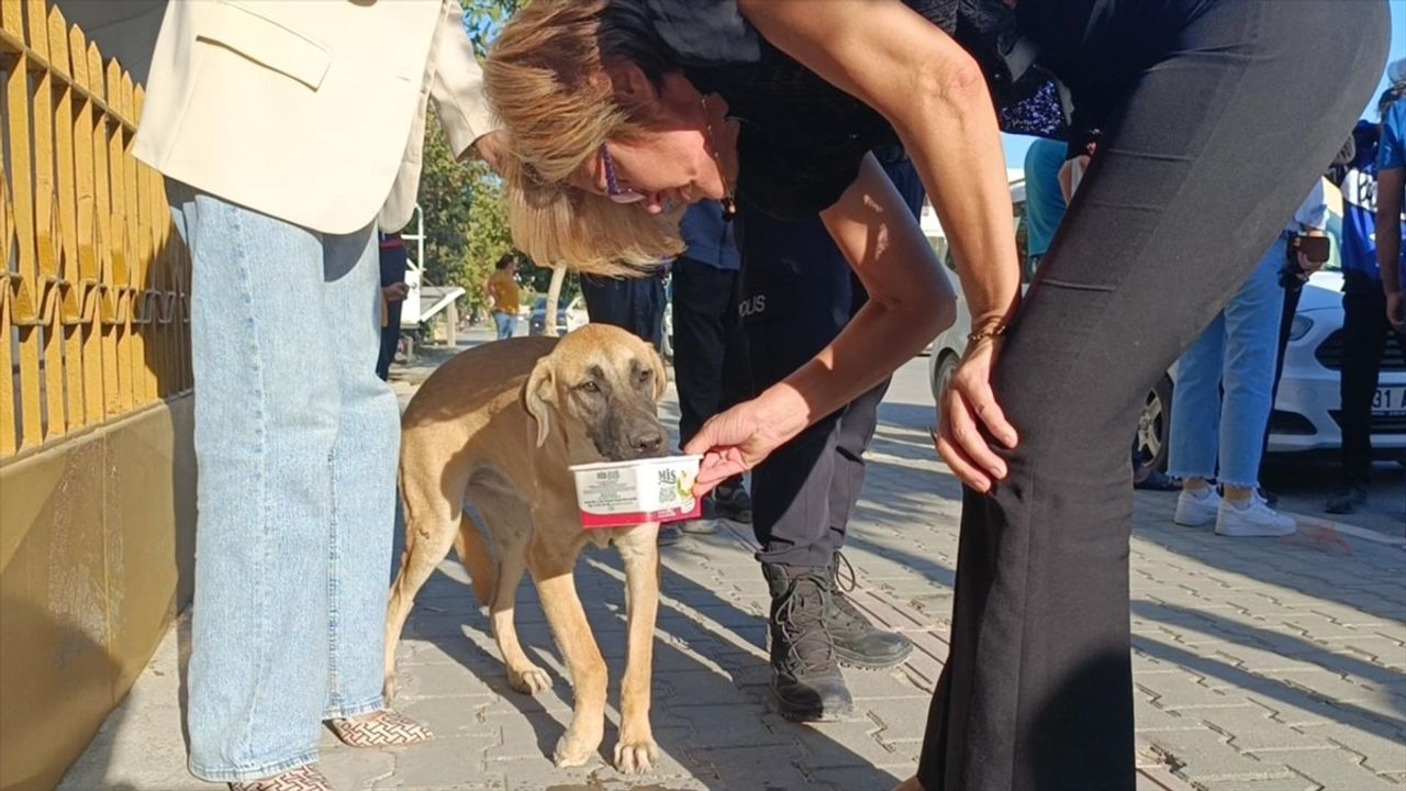 Hatay'da Motosiklet Kazası: Sürücü Yaralandı