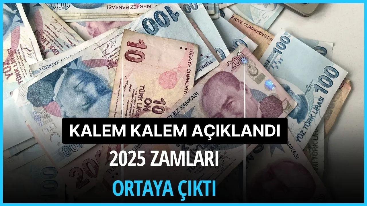 Hesap makinelerini çıkartacak gelişme! Ocak’ta 8 kalemde maaşlar artıyor 