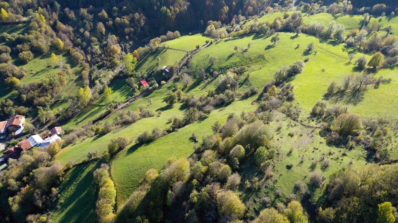 Ilgaz Dağı'nda Kış ve Sonbahar Büyüsü