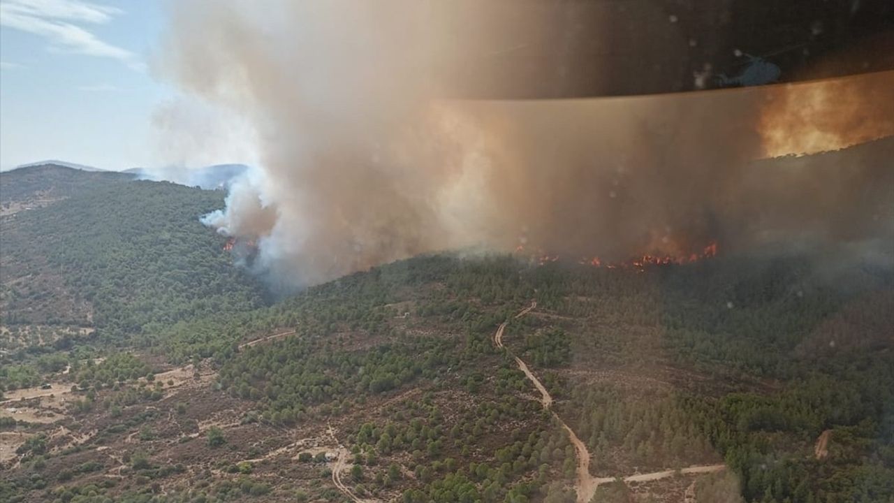 İzmir'de Ormana Sıçrayan Yangına Hızlı Müdahale