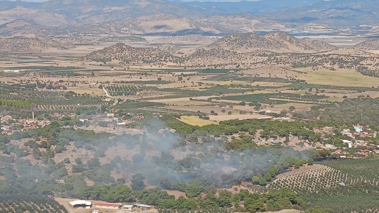 İzmir'deki Tarım Arazisinde Çıkan Yangın Kontrol Altına Alındı