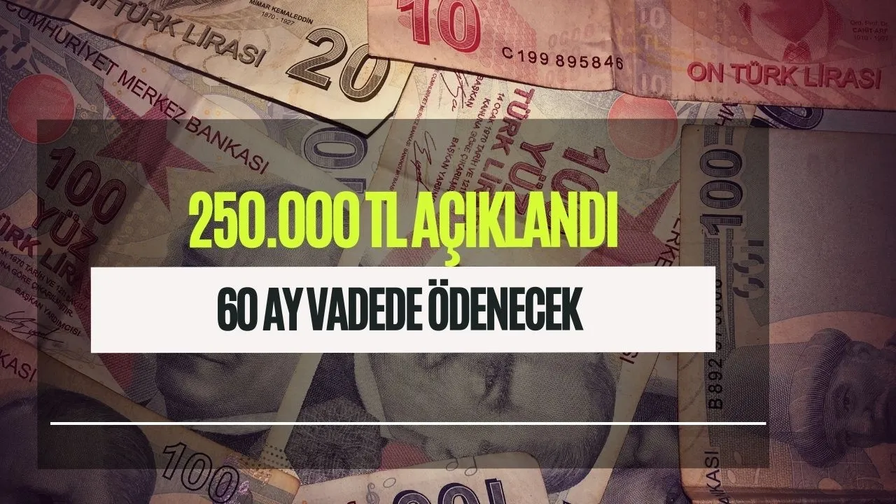 Kamudan ilkokul mezunlarına destek! 45 yaş şartına 12 ay ertelemeli 60 ay vadeli ödenecek 