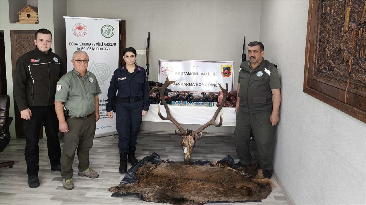 Kastamonu'da Kaçak Avcılar Çökertildi