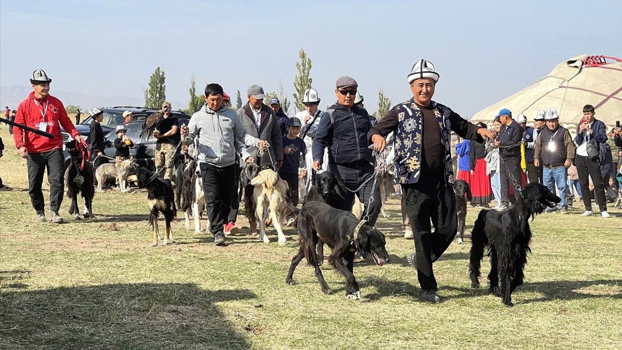 Kırgızistan'da Taygan Köpekleri ve Bürküt Kuşları Festivali