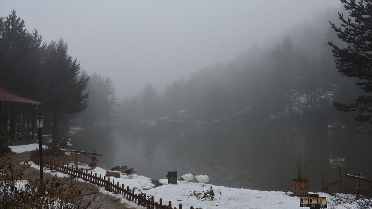 Kışın Büyüsü: Limni Gölü Tabiat Parkı