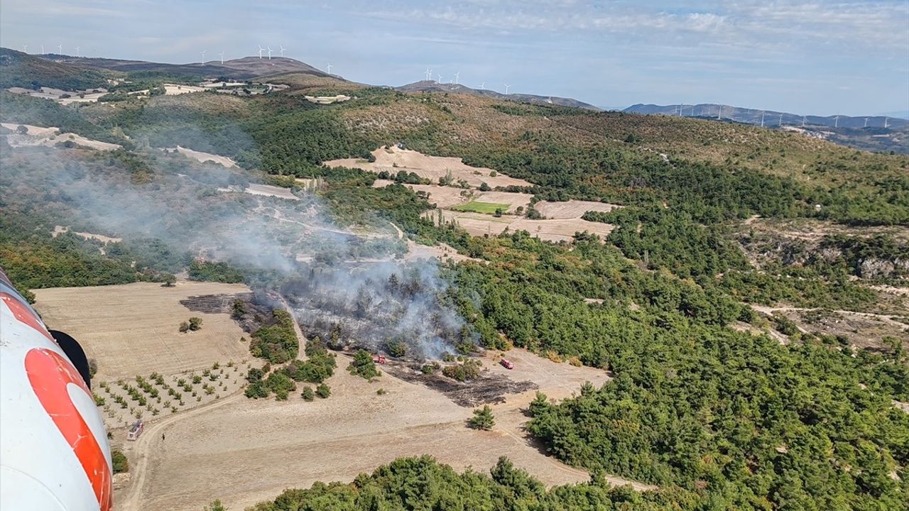 Manisa Kırkağaç'ta Tarlada Başlayan Yangın Ormana Sıçradı