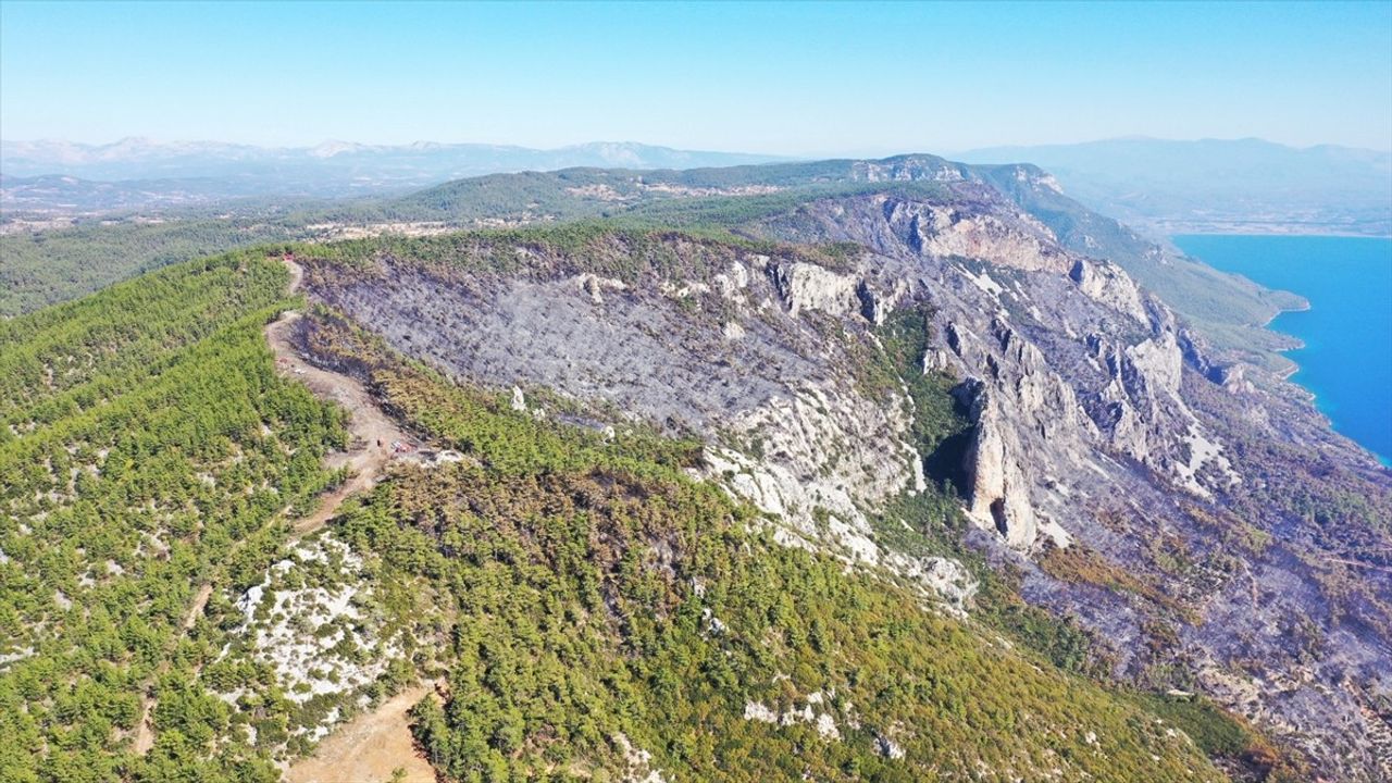 Menteşe'de Ormancılardan Yangınla Mücadele Eforu