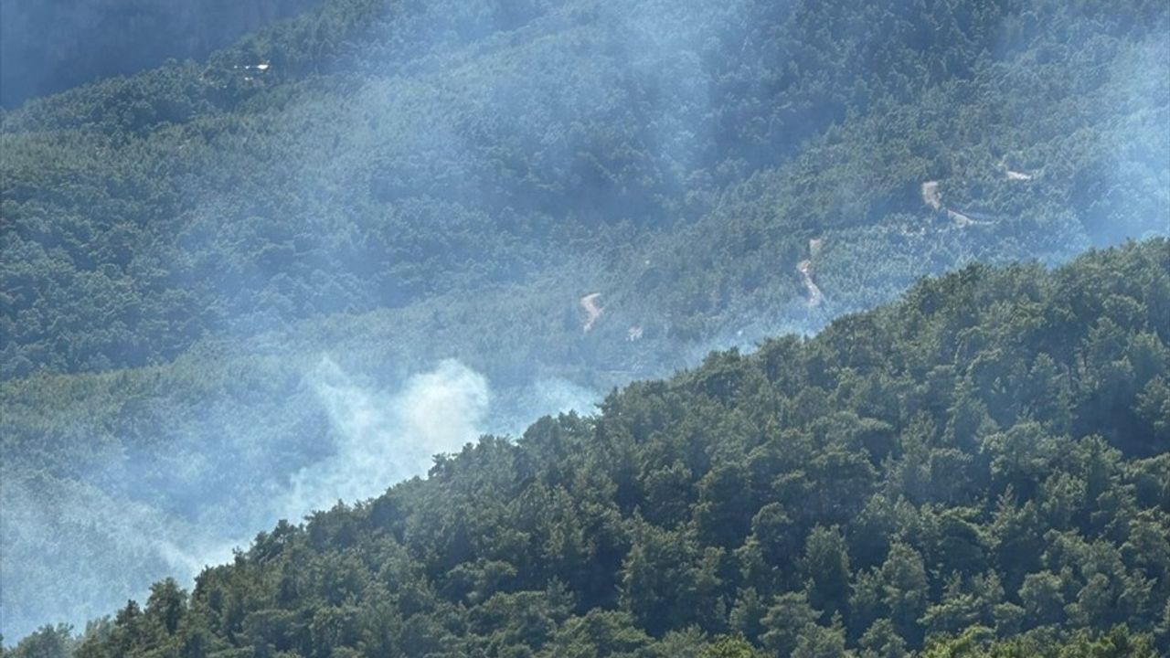 Mersin'de Orman Yangını Kontrol Altına Alındı