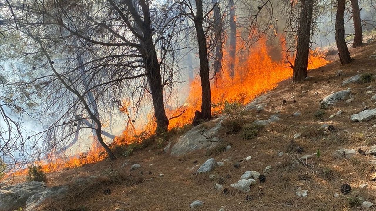 Mersin Silifke'deki Orman Yangını Kontrol Altına Alındı