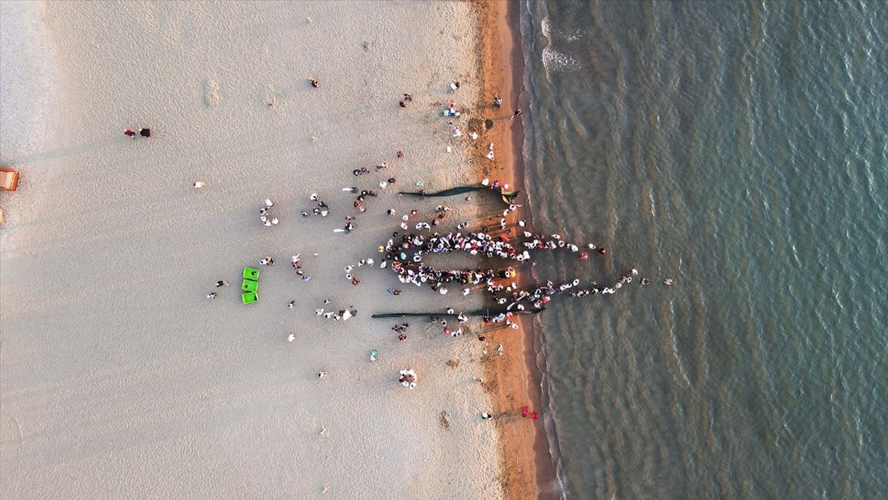 Muğla'da Deniz Kaplumbağaları Yeni Hayatlarına Merhaba Dedi