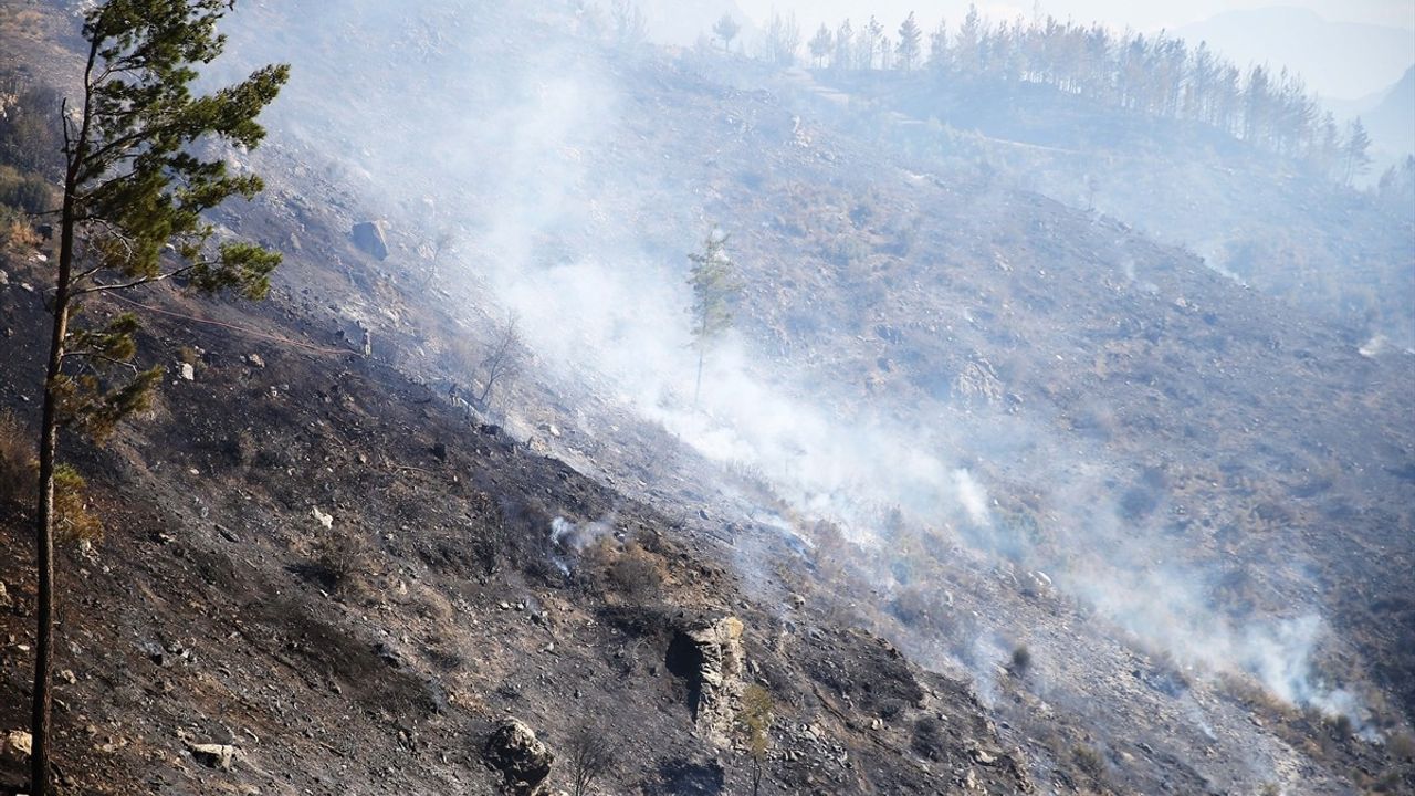 Muğla'daki Orman Yangınlarıyla Mücadele Sürüyor