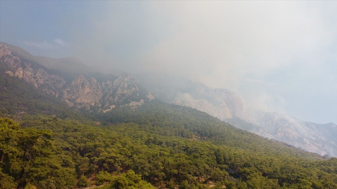 Muğla Orman Yangınlarına Mücadele Sürüyor