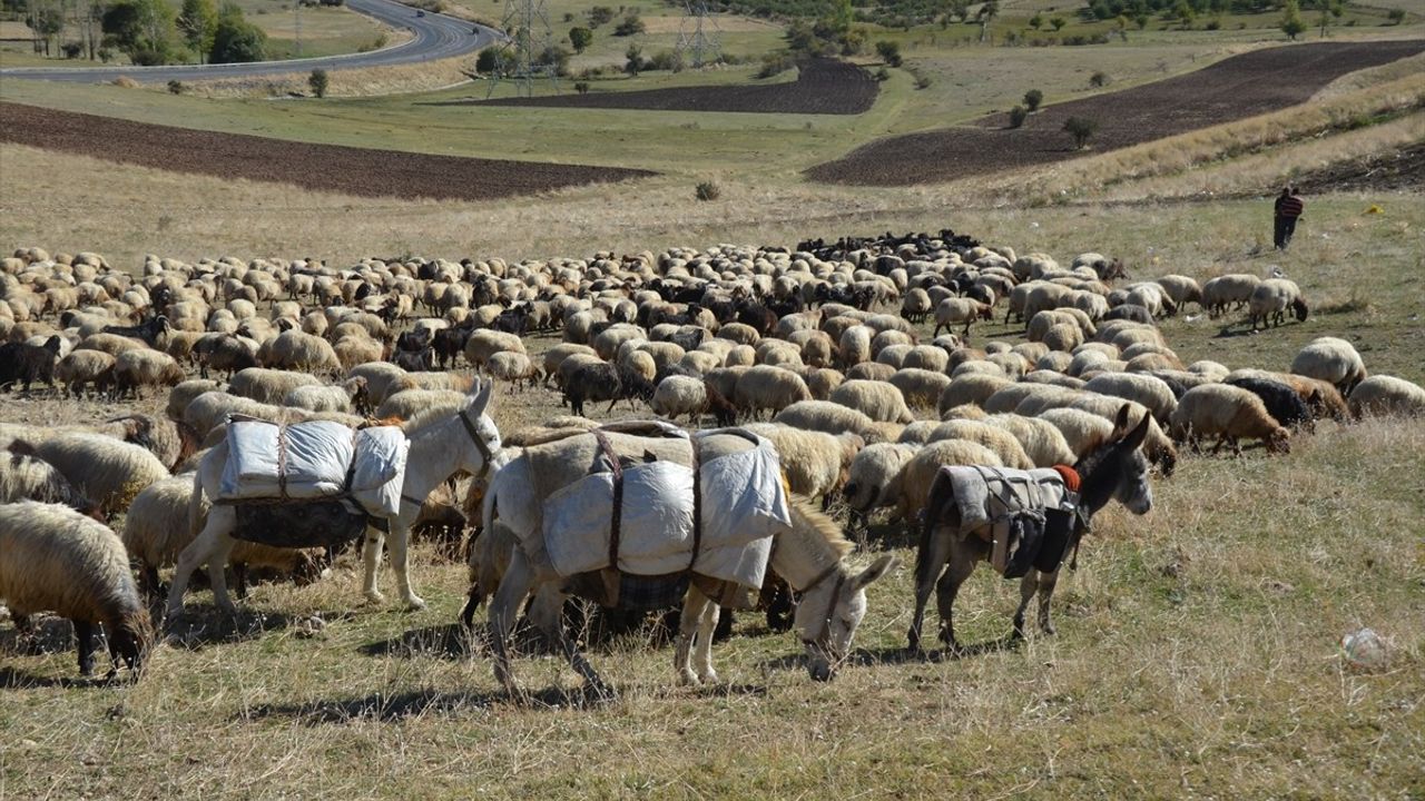 Muş'ta Göçerlerin Kış Yolculuğu Başladı