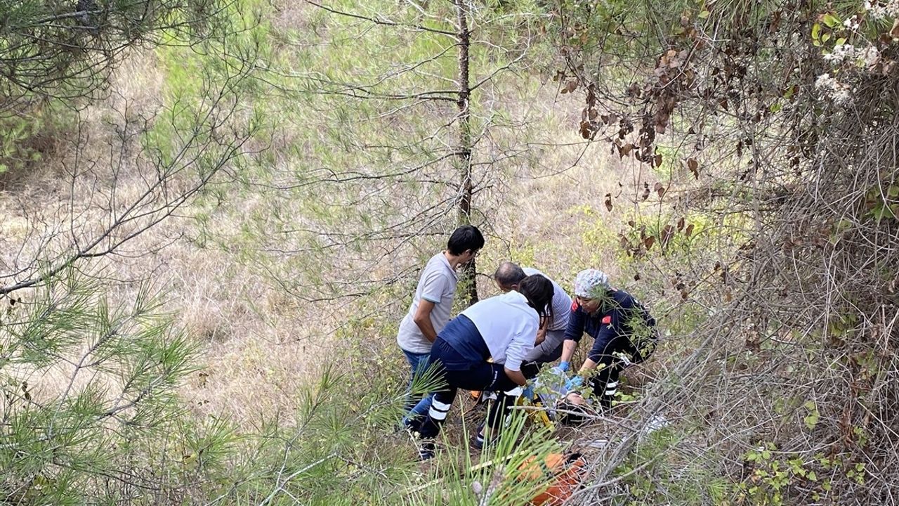 Sakarya'da Motosiklet Şarampole Devrildi: Sürücü Yaralandı