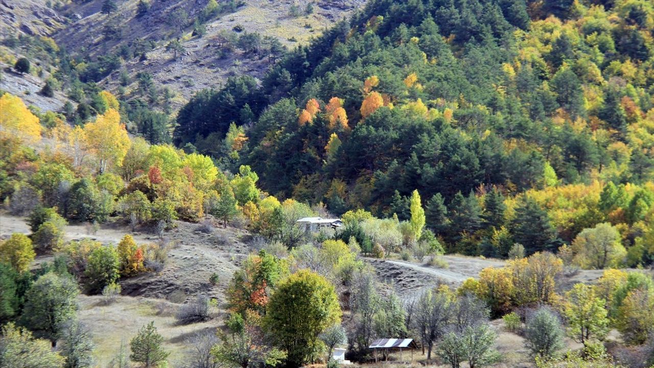 Sivas'ta Sonbahar Güzellikleri