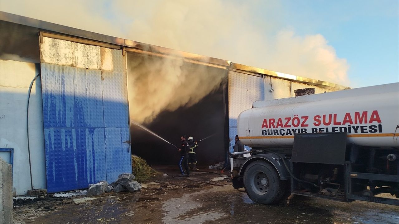 Sivas'ta Yem Deposunda Yangın: 20 Bin Balya Saman ve İş Makinesi Zarar Gördü