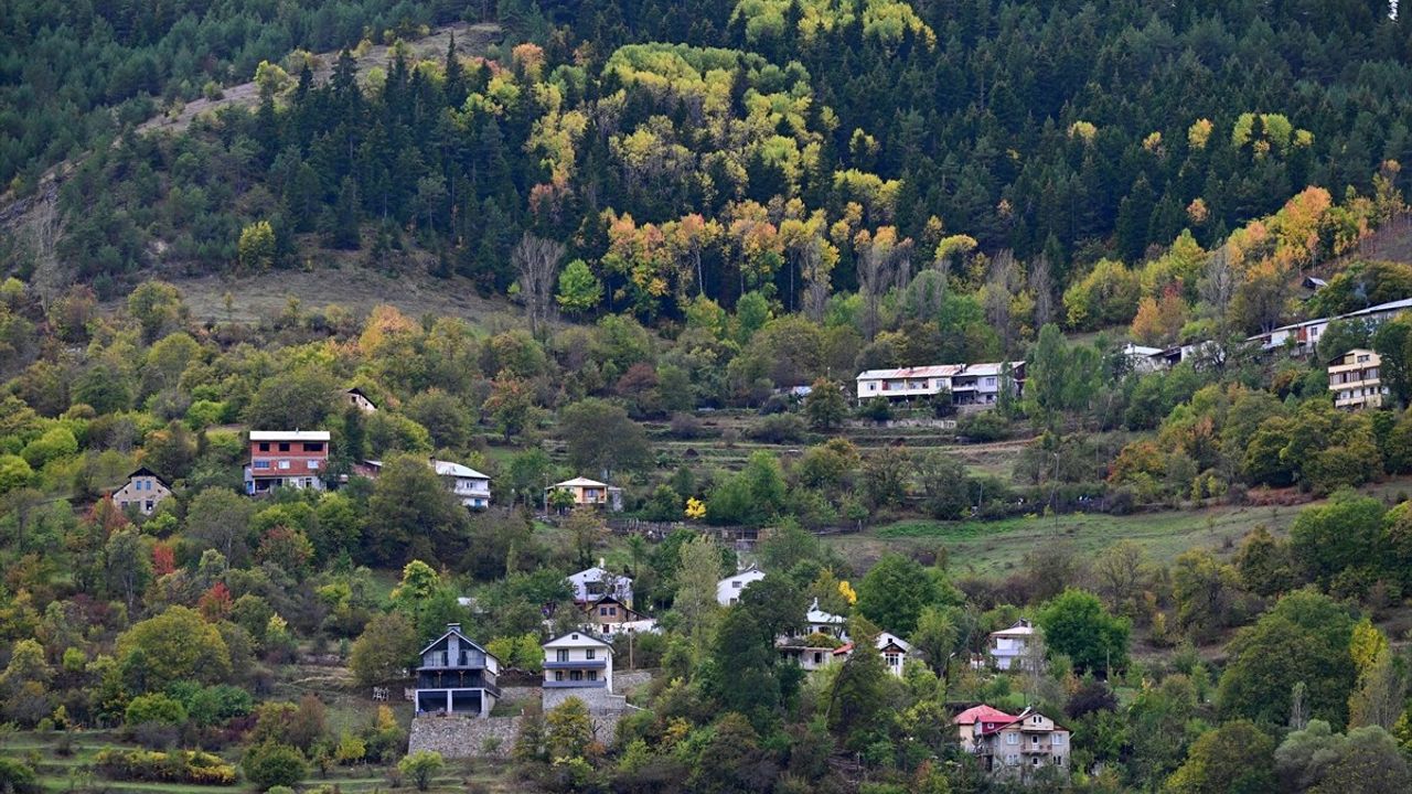 Zigana Dağı'nın Sonbahar Güzellikleri