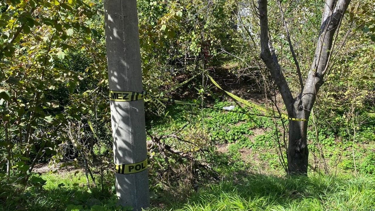 Zonguldak'ta Domuz Sanısıyla Vurulan Kadın Hayatını Kaybetti