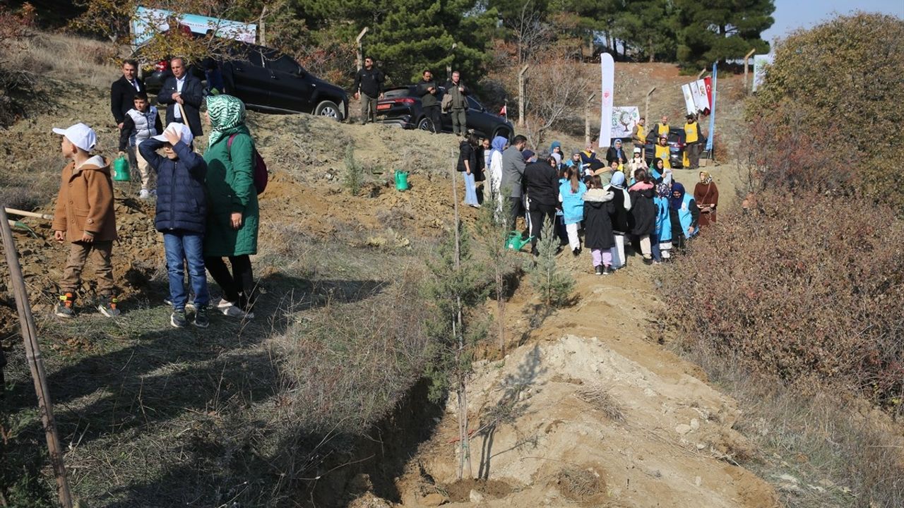 11 Kasım Milli Ağaçlandırma Günü'nde Samsun ve Çevresinde Fidanlar Toprakla Buluştu