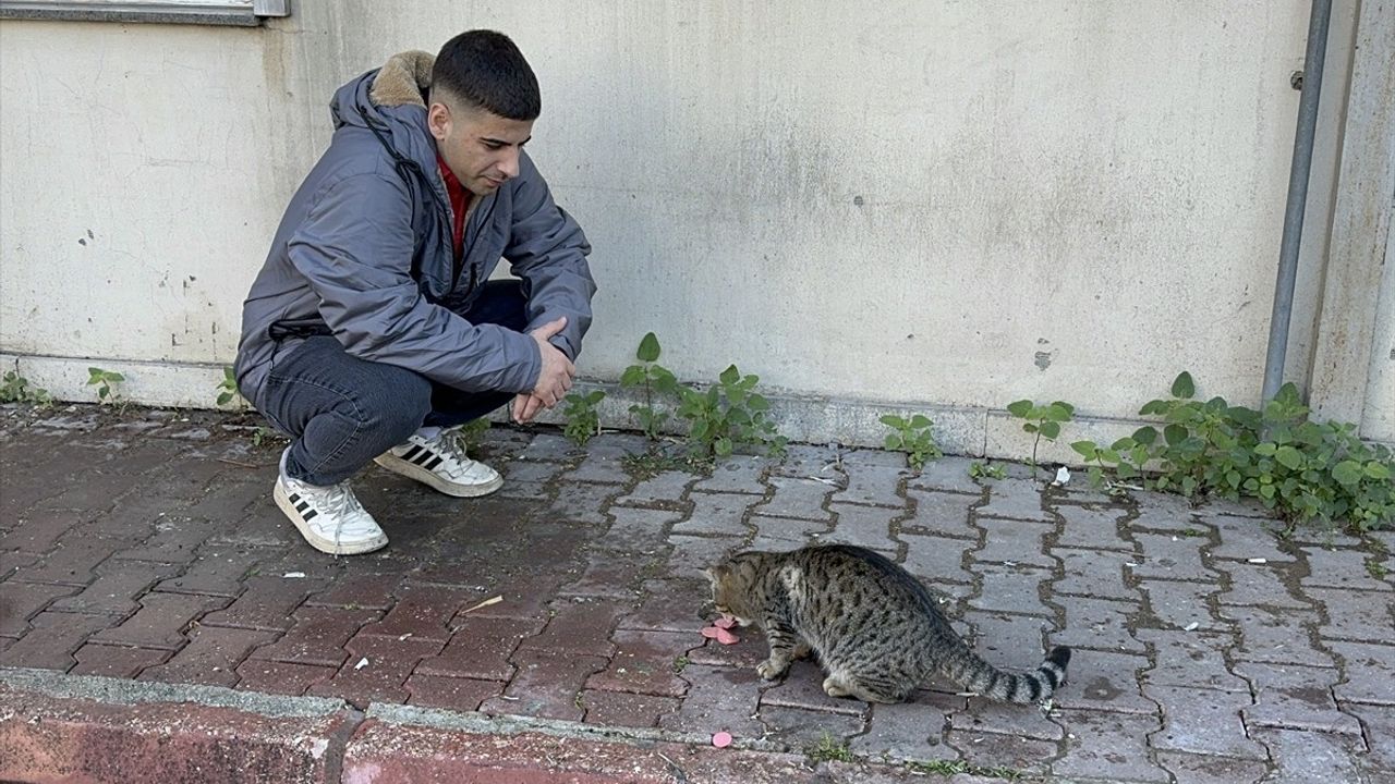 Adana'da Kedi, İşçinin Öğle Yemeğini Çaldı!