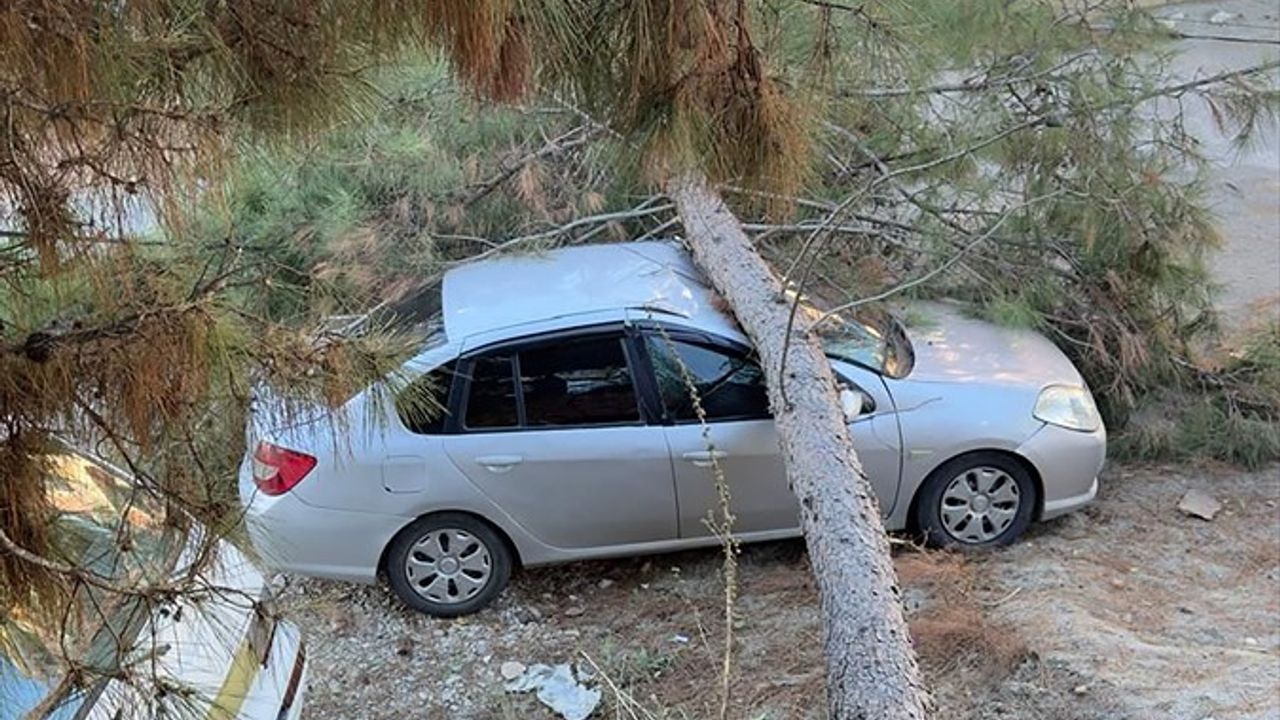 Alanya'daki Fırtına, Ev ve Seraları Vurdu: Zarar Büyüyor