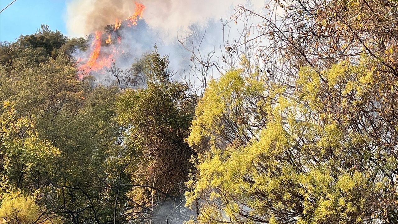 Antalya'da Orman Yangınına Hızla Müdahale Ediliyor