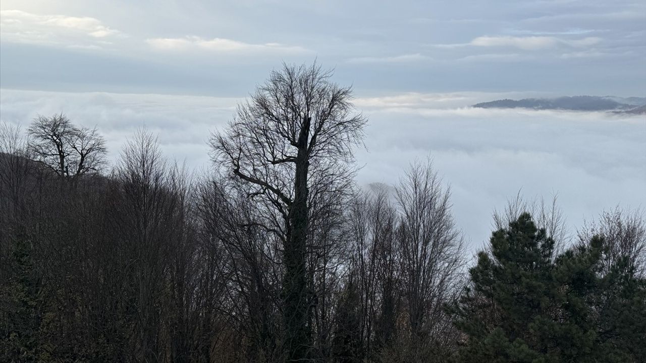 Bolu Dağı'nda Eşsiz Manzaralar Sürücüleri Büyülüyor