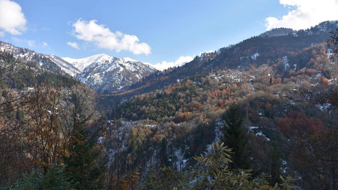 Borçka Karagöl Tabiat Parkı'nda Kış ve Sonbahar Büyüsü