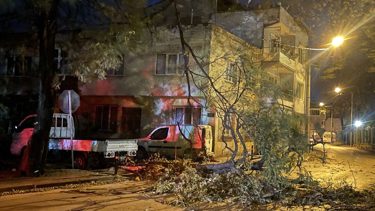 Bursa'da Fırtına Ağaçları Devrip Araçları Zarar Verdi