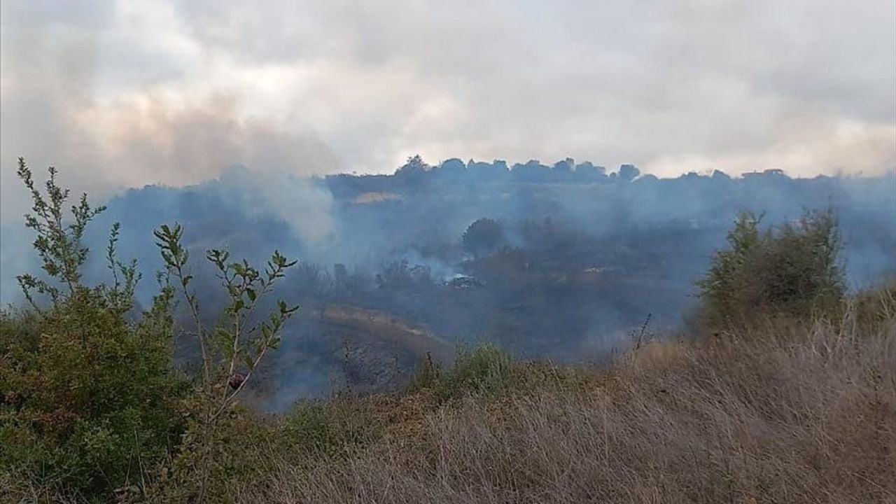 Çanakkale Biga'da Orman Yangınına Müdahale