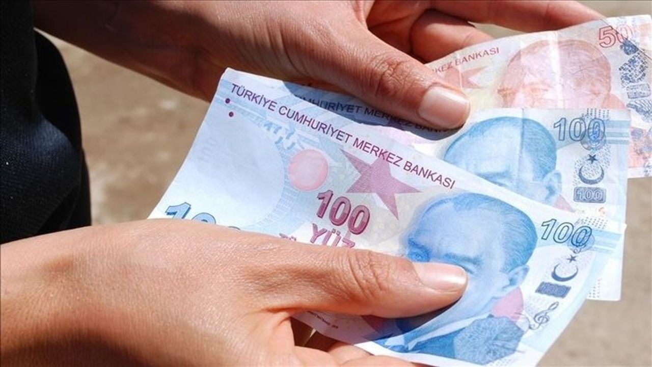 Devlet Destek Ödemeleri Hesaplara Aktarıldı: 252 Milyon Lira Ödeme Yapıldı