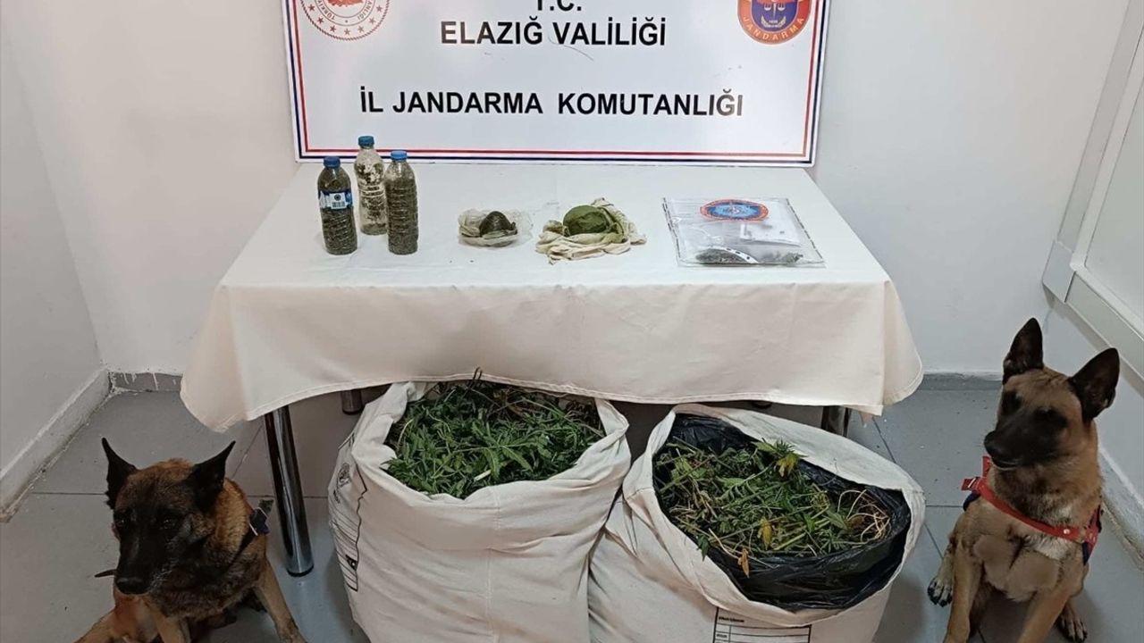 Diyarbakır'da Büyük Uyuşturucu Operasyonu: 11 Kilo Esrar Ele Geçirildi