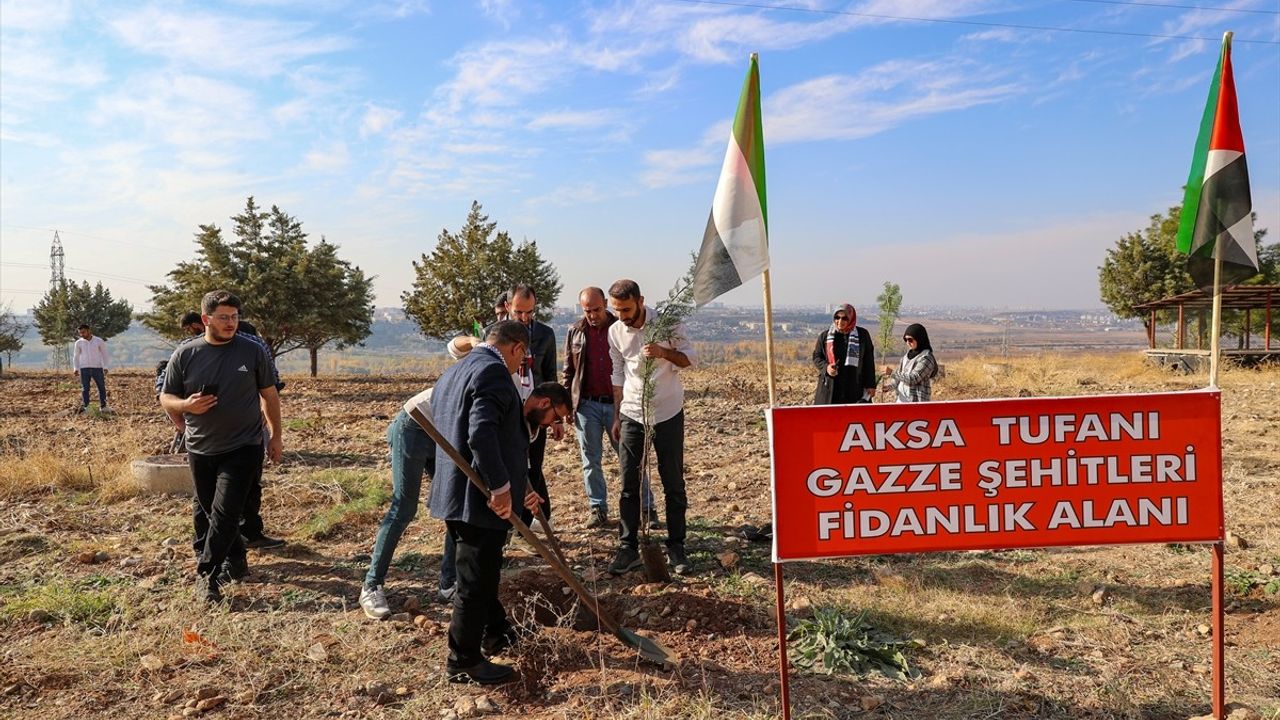 Diyarbakır'da Filistinliler Anısına Fidan Dikimi