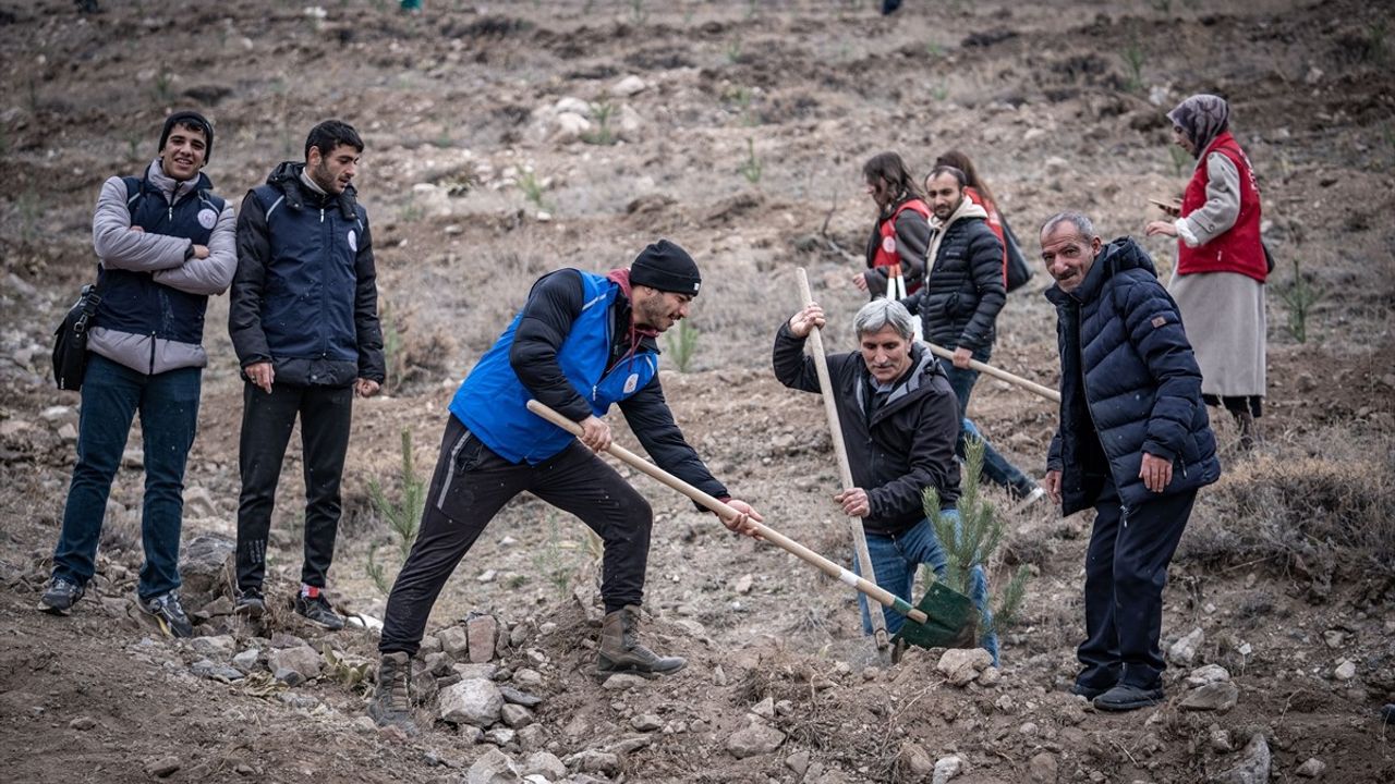 Doğu Anadolu'da Milli Ağaçlandırma Günü Coşkuyla Kutlandı