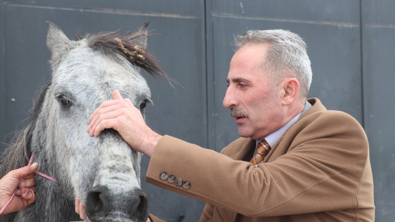 Erzurum'da Sokakta Bulunan Atın Gerçek Durumu Ortaya Çıktı