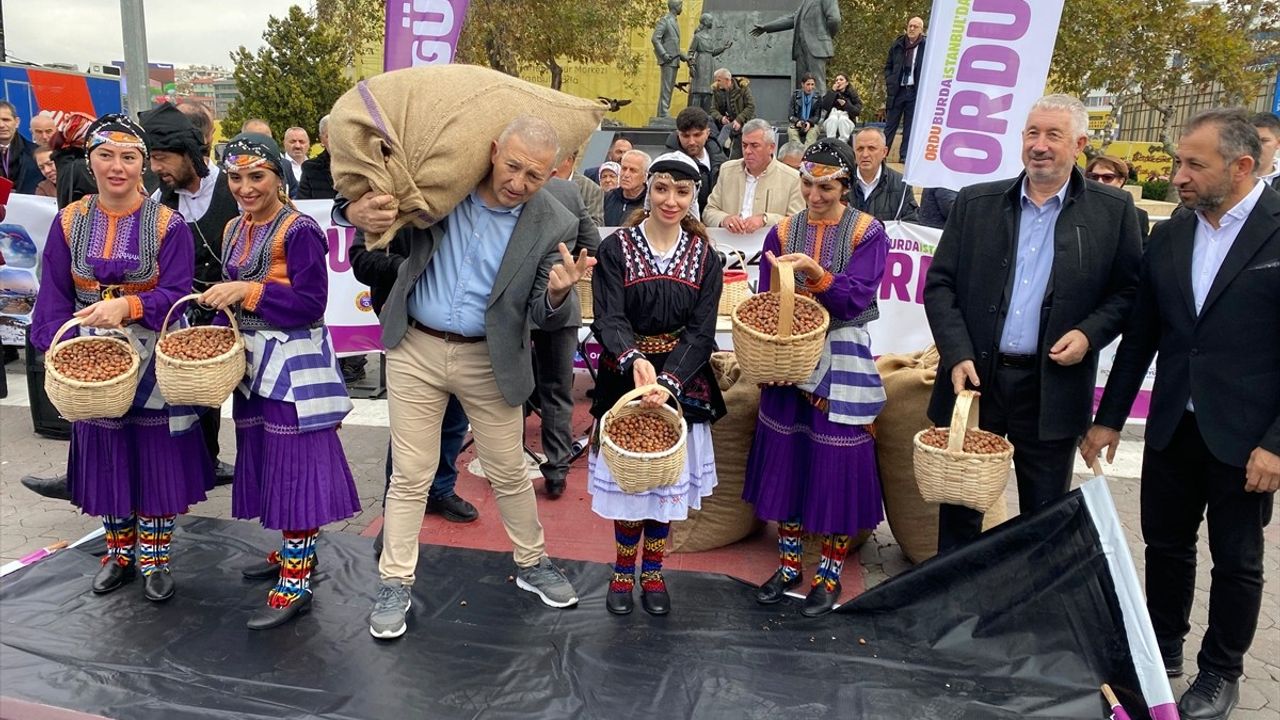 Kadıköy'de Ordu Dernekleri Fındık Dağıttı ve Eğlence Dolu Bir Gün Geçirtti