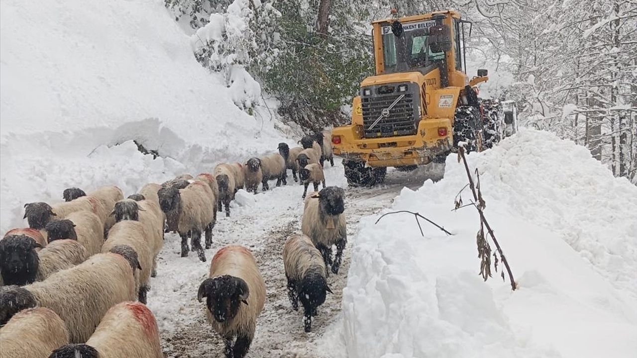 Karadeniz Bölgesi'nde Karla Mücadele Devam Ediyor