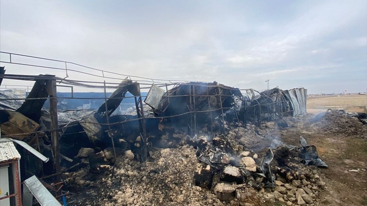 Kayseri'de Mantar Üretim Tesisinde Yangın Kontrol Altına Alındı