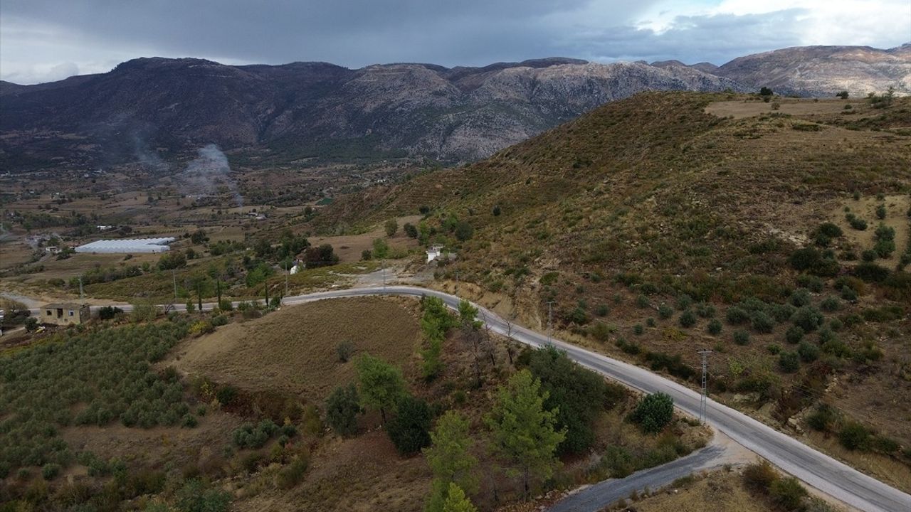 Manavgat'taki Orman Yangınları Sonrası Doğa Yeniden Canlanıyor