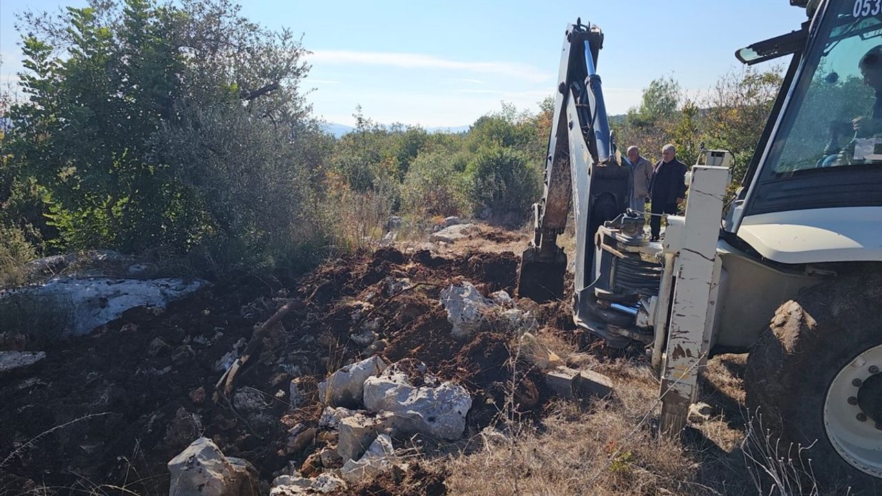 Mersin'de Yem Tedarikinde Aksama: 800 Tavuk Telef Oldu