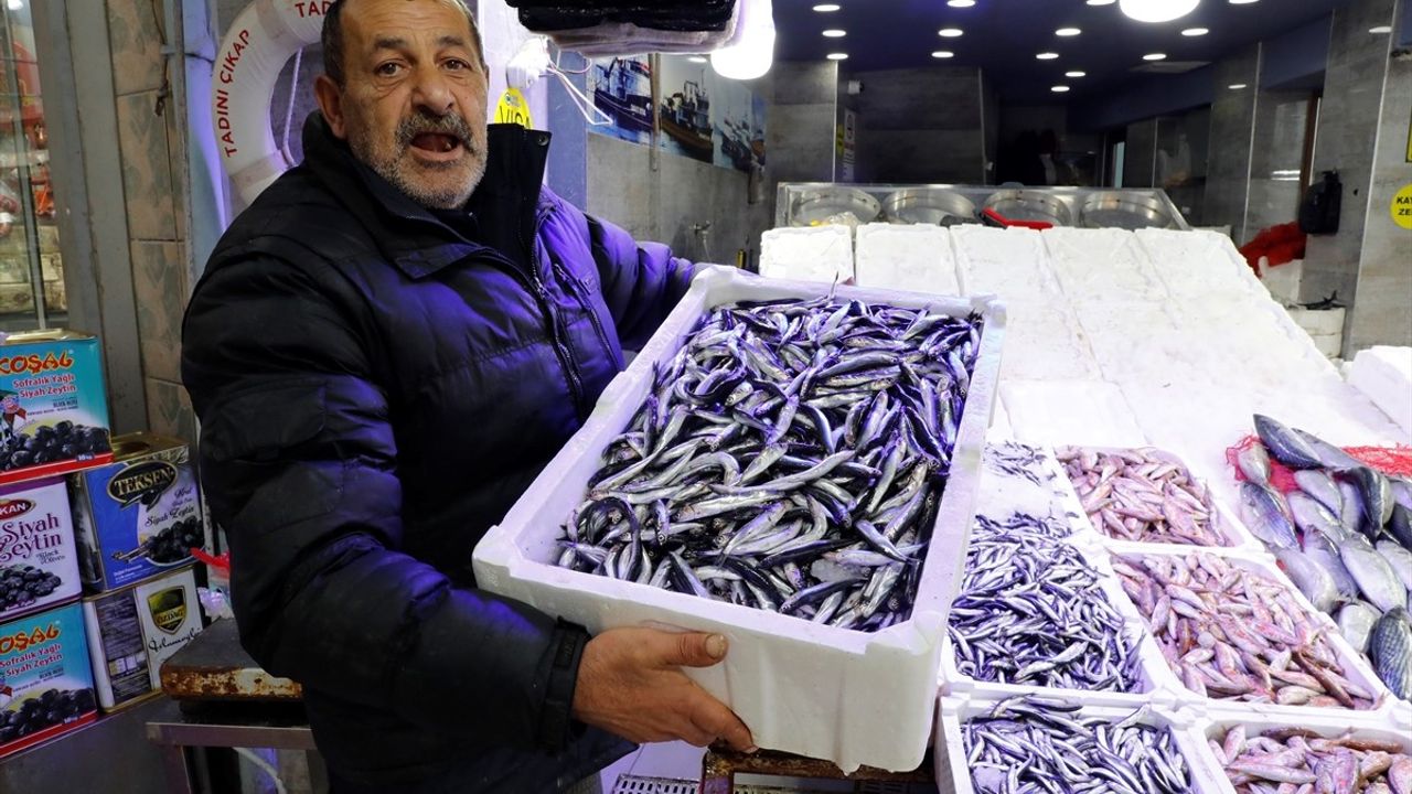 Samsun'da Hamsi Fiyatları 100 Lira ile Sezonun Zirvesinde