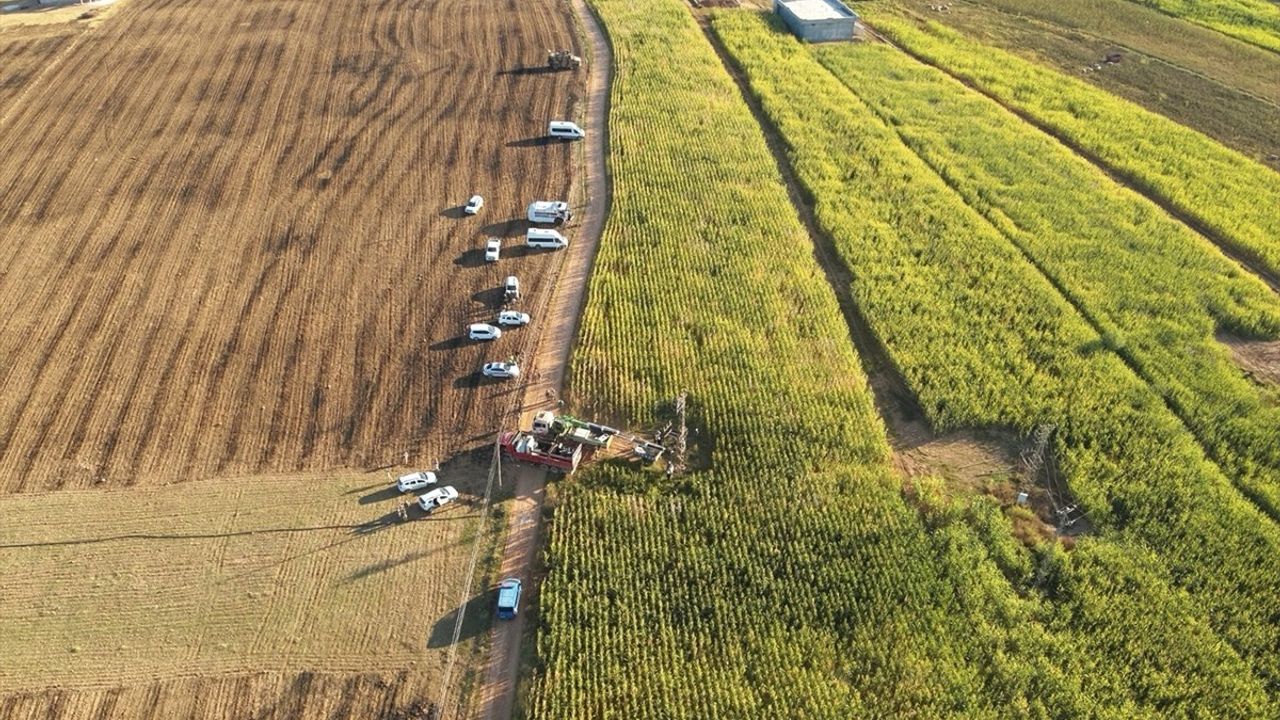 Şanlıurfa'da 750 Haneyi Elektriklendiren Kayıt Dışı 15 Trafo Tespit Edildi