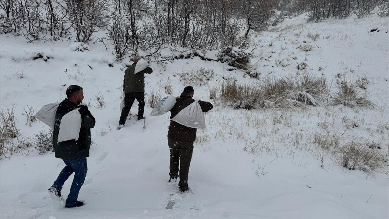 Siirt'te Yaban Hayvanları İçin Doğaya 350 Kilogram Yem Bırakıldı