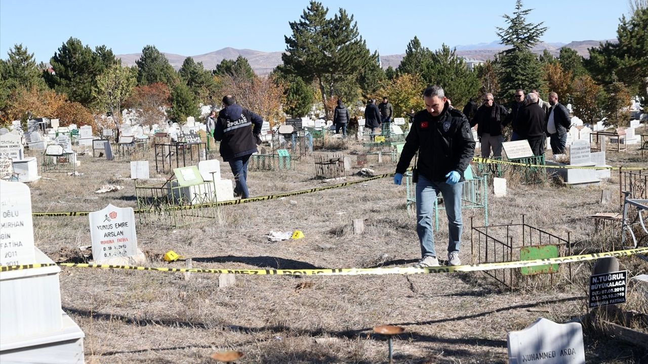 Sivas'ta Bulunan Bebek Cesedi ve Yabani Hayvanların Rolü