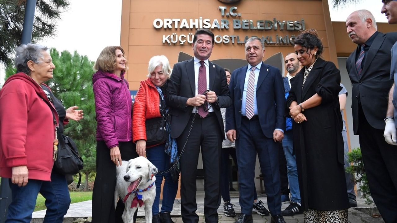 Trabzonspor, Fenerbahçe Maçında Sahaya Giren Köpeği Sahiplendi