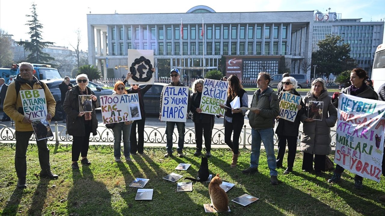 Adaların Atları Platformu'ndan İBB'ye Sert Tepki: 'Atlar Ölüme Terk Edildi'