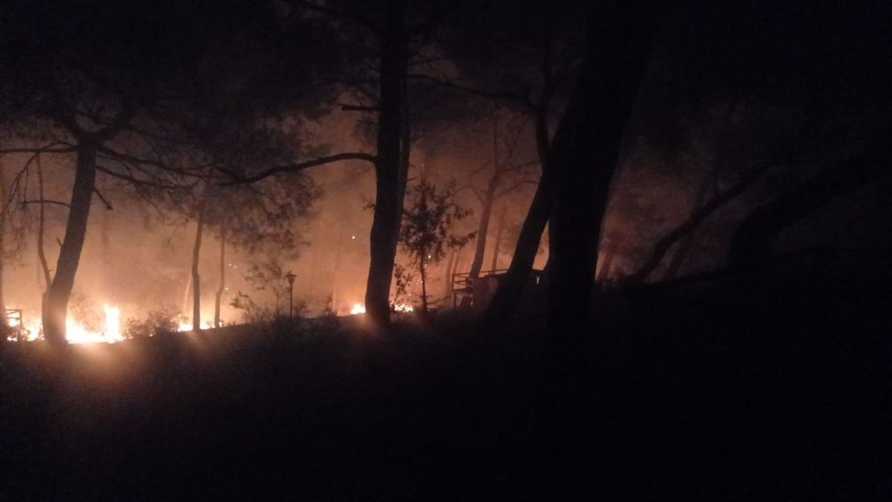 Adana'nın Kozan İlçesinde Orman Yangını Kontrol Altına Alındı